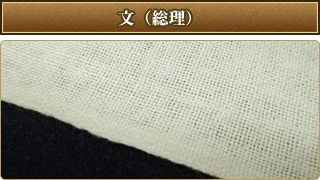 文（総理）
