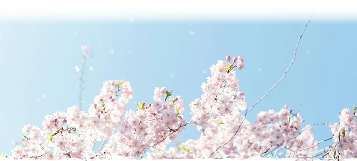 4月