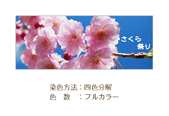 染色方法：四色分解てぬぐい/色数：フルカラー